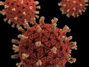 catégorie siège auto